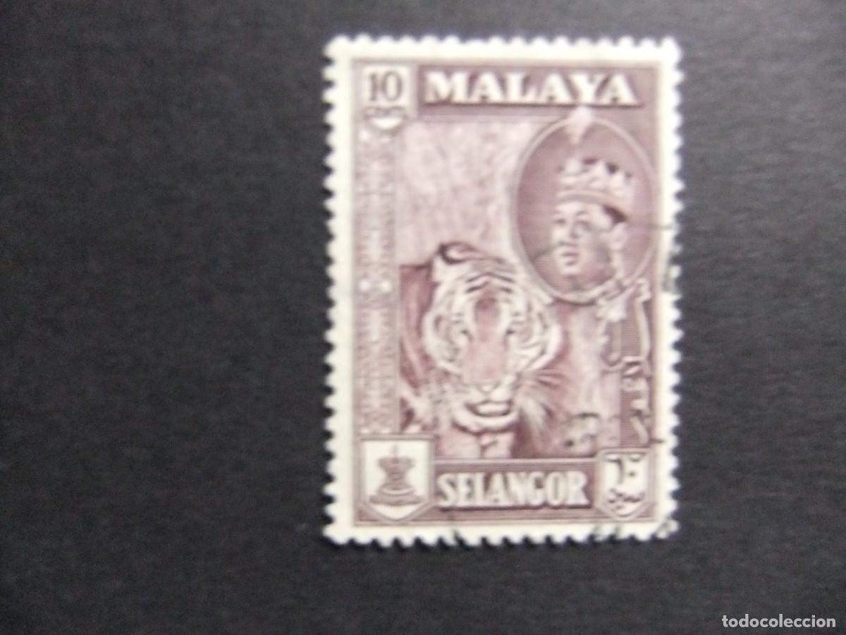 Sellos: 43 SELANGOR 1961 / TIGRE y SULTAN SALAHUDDIN ABDUL AZIZ SHAH / YVERT 84 FU