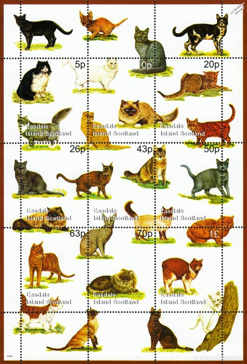 Sellos: GB LOCAL EASDALE 1999 SHEET MNH CATS GATTI CHATS GATOS KATZEN