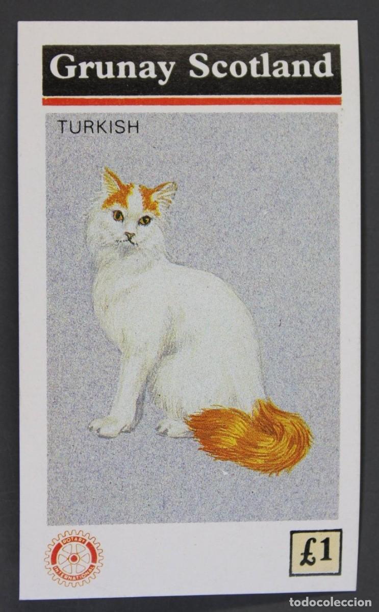 Sellos: GB LOCAL GRUNAY 1984 SHEET MNH ROTARY CATS GATTI CHATS GATOS KATZEN