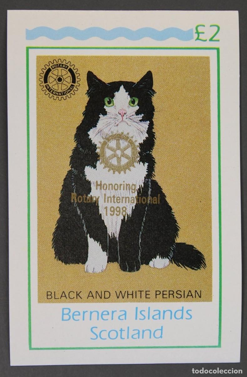 Sellos: GB LOCAL BERNERA 1984 SHEET MNH GOLD OVERPRINTED ROTARY CATS GATTI CHATS GATOS KATZEN