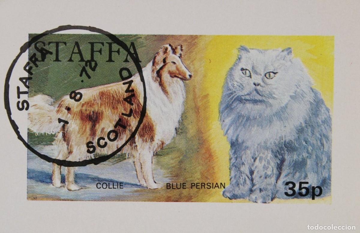Sellos: GB LOCAL STAFFA 1972 SHEET USED MNH PERROS DOGS CHIENS HUNDEN CANI CATS GATTI CHATS GATOS KATZEN
