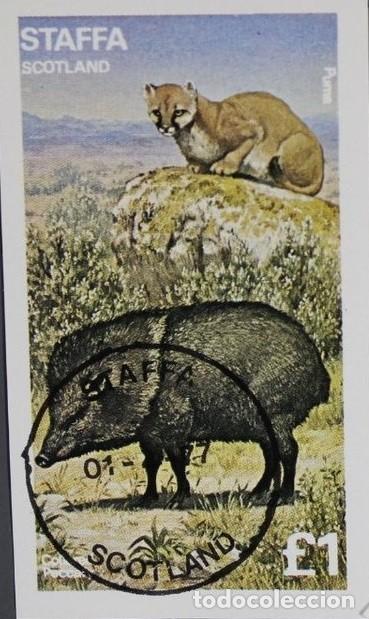 Sellos: GB LOCAL STAFFA 1977 SHEET USED MNH TAYASUIDOS JABALIES AMERICANOS PUMAS FELINOS FELINES WILDLIFE