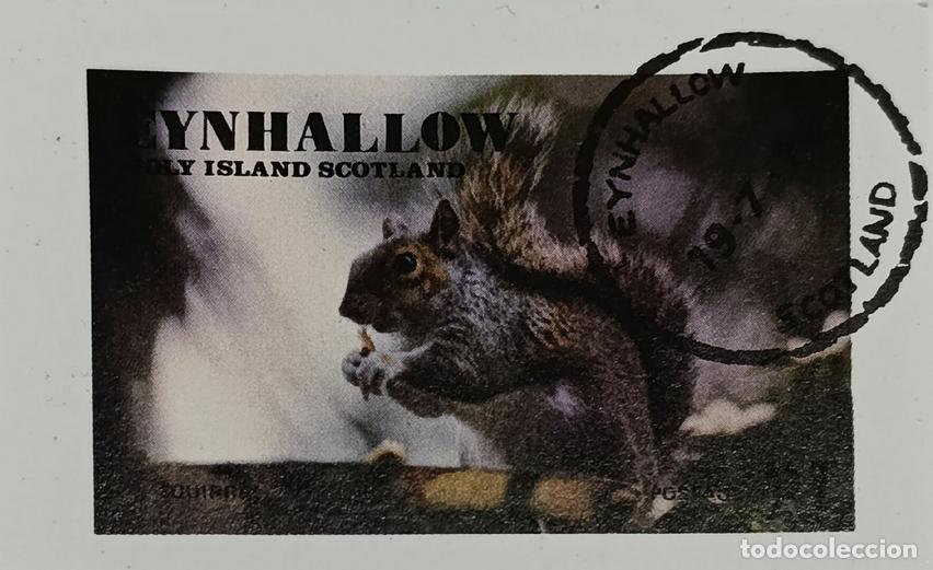 Sellos: GB LOCAL EYNHALLOW 1977 SHEET USED MNH FAUNA MAMIFEROS ARDILLAS SQUIRRELS ROEDORES RODENTS RONGEURS