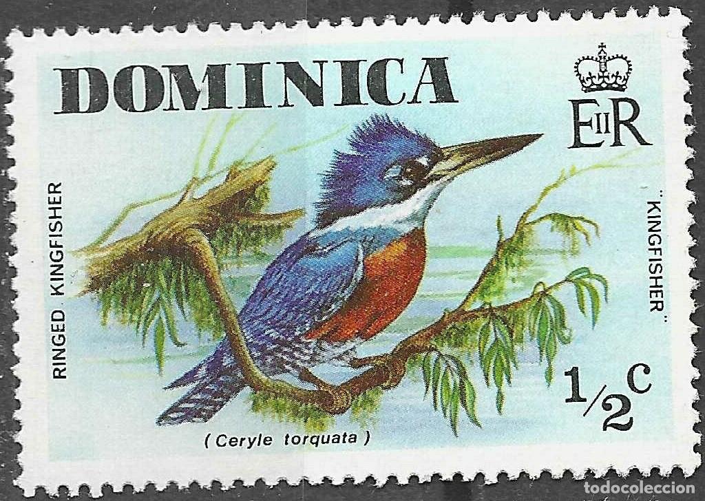 Sellos: DOMINICA/1976/MH/SC#485/ AVES/ 1/2c RINGED KINGFISHER