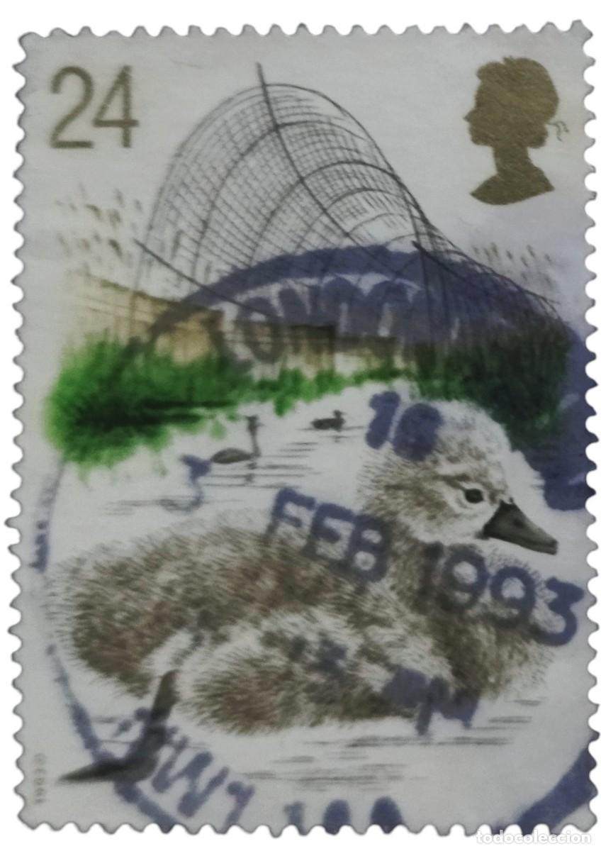 Sellos: GRAN BRETA&Ntilde;A 1993 VI Centenario del criadero de cisnes de Abbotsbury. USADO.