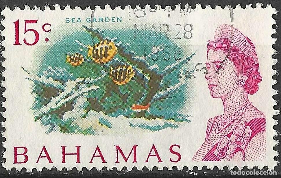Sellos: BAHAMAS/1967/USED/SC#261/ REINA ELIZABETH II / PECES/ 15c