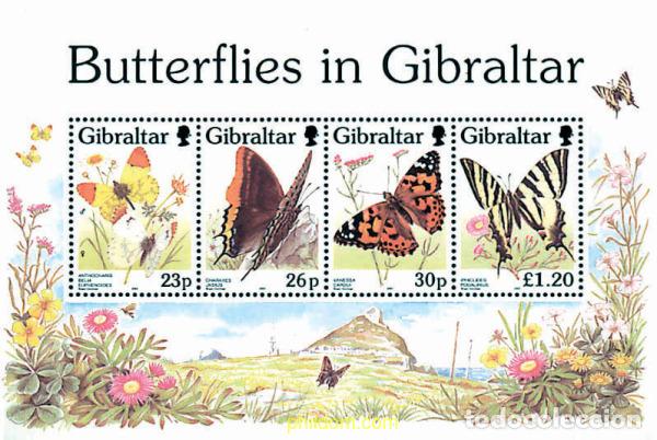 Sellos: 94753 MNH GIBRALTAR 1997 MARIPOSAS DE GIBRALTAR