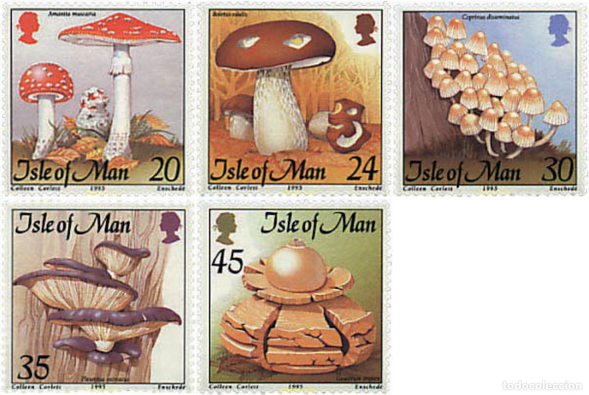 Sellos: 34484 MNH MAN 1995 SETAS