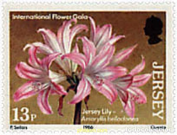 Sellos: 300295 MNH JERSEY 1986 LIRIOS DE JERSEY