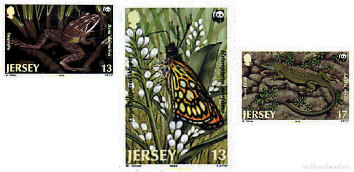 Sellos: 244924 MNH JERSEY 1989 VIDA SALVAJE DE JERSEY