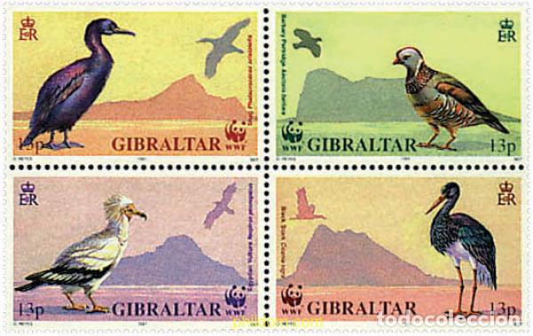 Sellos: 5215 MNH GIBRALTAR 1991 WWF. AVES EN PELIGRO DE EXTINCION