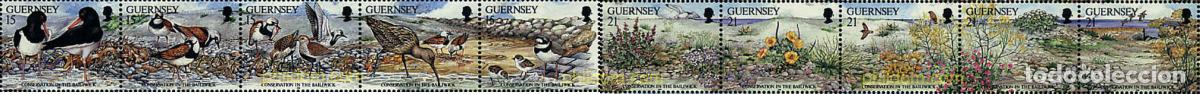 Sellos: 166983 MNH GUERNSEY 1991 PROTECCION DE LA NATURALEZA