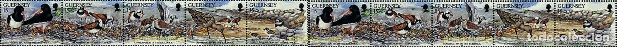 Sellos: 366901 MNH GUERNSEY 1991 PROTECCION DE LA NATURALEZA