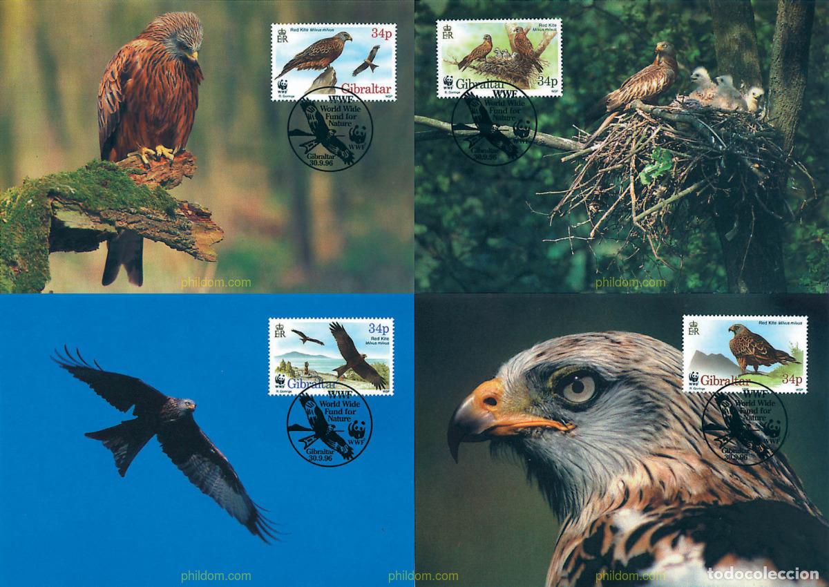 Sellos: 7422 MNH GIBRALTAR 1996 WWF. EL MILANO REAL