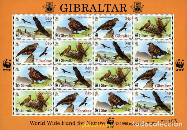 Sellos: 12664 MNH GIBRALTAR 1996 WWF. EL MILANO REAL