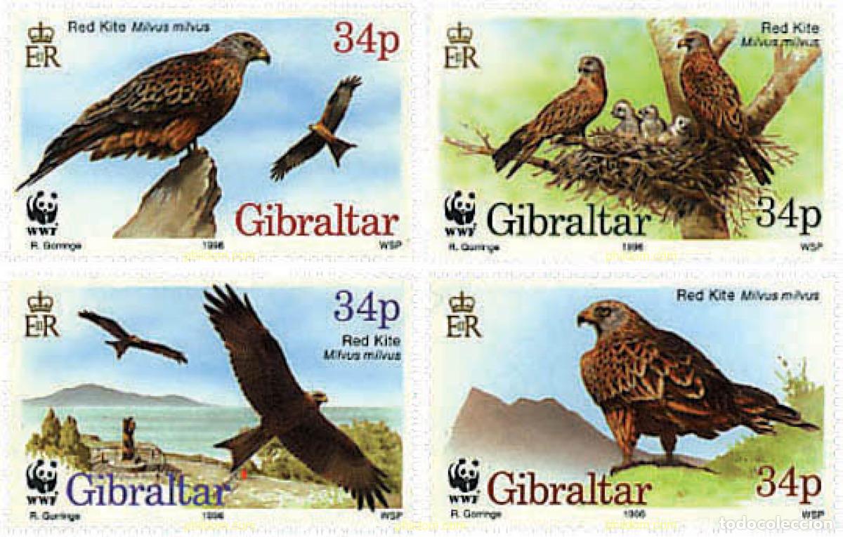 Sellos: 84305 MNH GIBRALTAR 1996 WWF. EL MILANO REAL