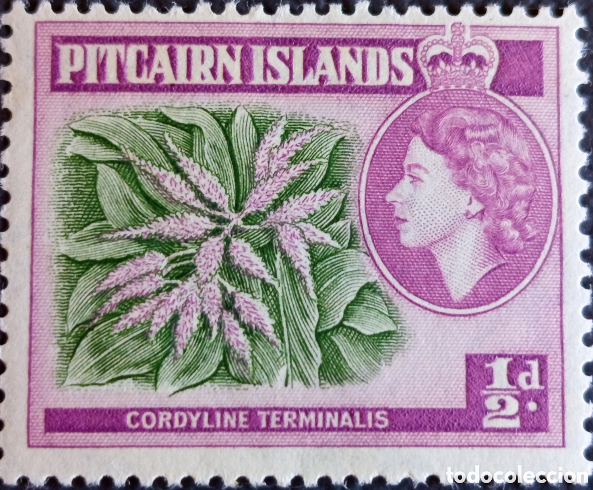 Sellos: Islas Pitcairn 1957 &frac12;d Cordyline Terminalis Isabel II bicolor MNH SG 18 Scott 20