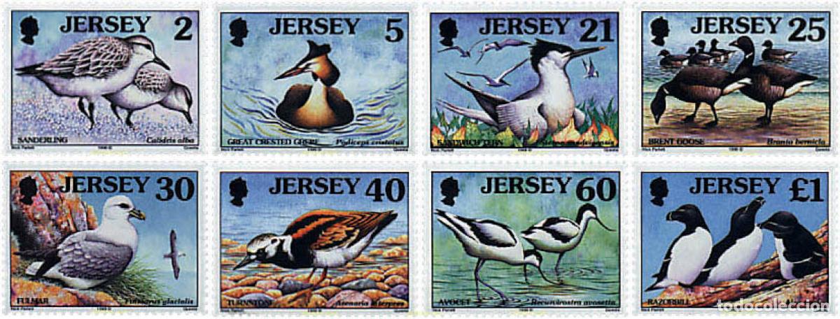 Sellos: 66658 MNH JERSEY 1998 AVES MARINAS Y ZANCUDAS
