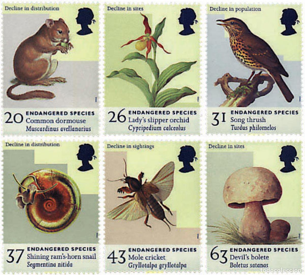 Sellos: 91248 MNH GRAN BRETA&Ntilde;A 1998 ESPECIES EN PELIGRO DE EXTINCION