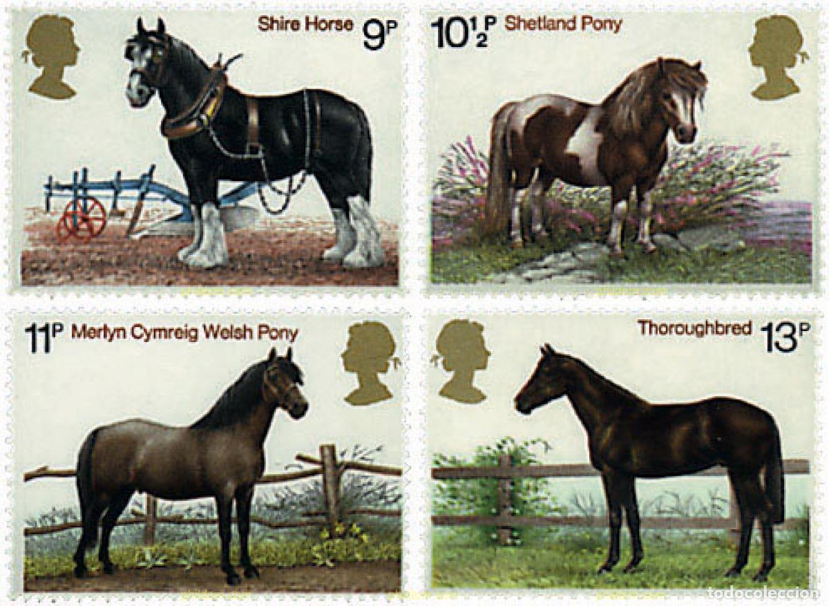 Sellos: 66114 MNH GRAN BRETA&Ntilde;A 1978 CABALLOS