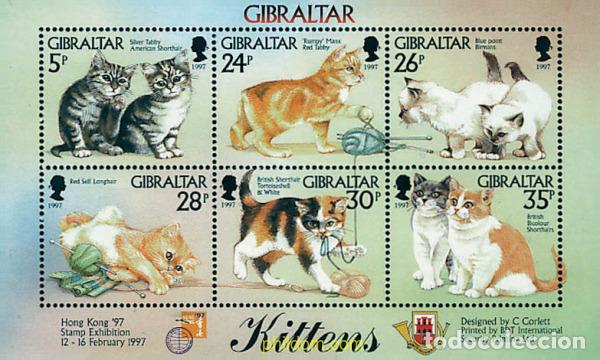 Sellos: 84308 MNH GIBRALTAR 1997 GATOS