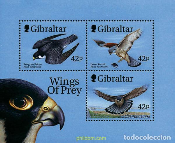 Sellos: 372578 MNH GIBRALTAR 1999 AVIONES DE LA ROYAL AIR FORCE Y PAJAROS