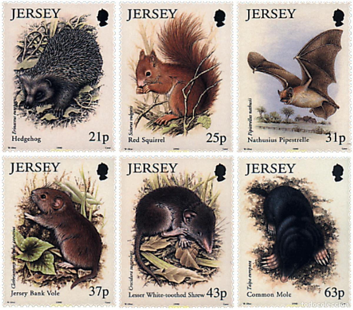 Sellos: 41181 MNH JERSEY 1999 LA NATURALEZA EN JERSEY