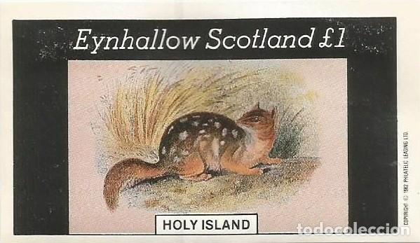 Sellos: GB LOCAL EYNHALLOW 1982 SHEET MNH FAUNA MAMIFEROS MARSUPIALES QUOLL DE COLA MANCHADA WILDLIFE