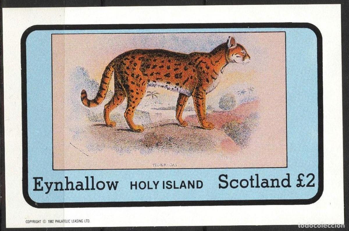 Sellos: GB LOCAL EYNHALLOW 1982 SHEET MNH FAUNA MAMIFEROS TIGRILLO LEOPARDO TIGRE TIGER CAT FELINOS WILDLIFE