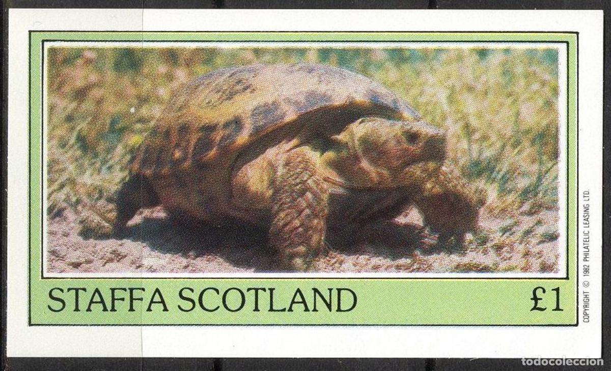 Sellos: GB LOCAL STAFFA 1982 SHEET MNH FAUNA TURTLES TORTUES TARTARUGAS TORTUGAS SCHILDKROTEN WILDLIFE