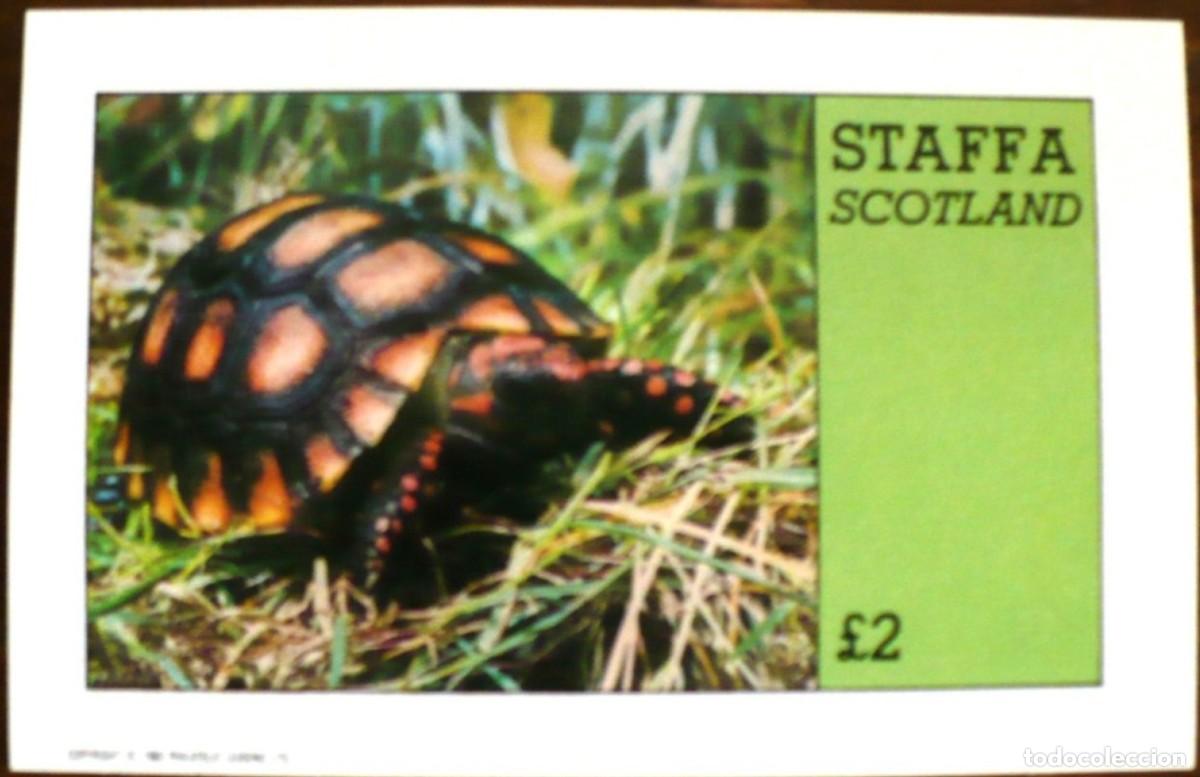 Sellos: GB LOCAL STAFFA 1982 SHEET MNH FAUNA TURTLES TORTUES TARTARUGAS TORTUGAS SCHILDKROTEN WILDLIFE