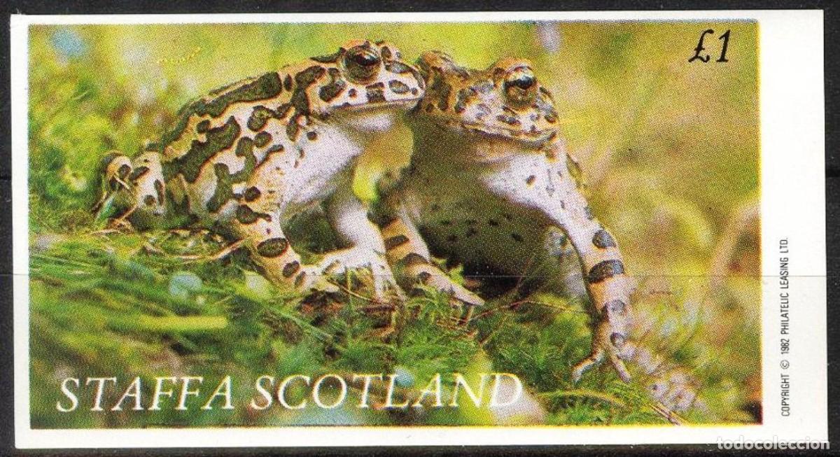 Sellos: GB LOCAL STAFFA 1982 SHEET MNH FAUNA FROGS GRENOUILLES RANAS RAS FROSCHE ANFIBIOS AMPHIBIANS
