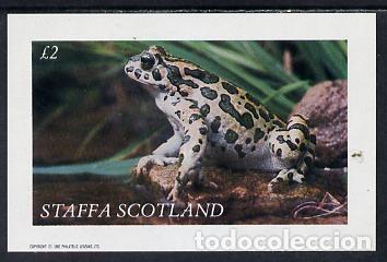 Sellos: GB LOCAL STAFFA 1982 SHEET MNH FAUNA FROGS GRENOUILLES RANAS RAS FROSCHE ANFIBIOS AMPHIBIANS