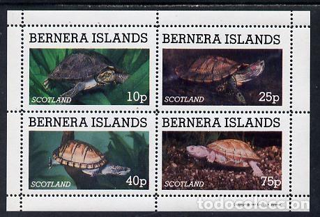 Sellos: GB LOCAL BERNERA 1981 SHEET MNH FAUNA TURTLES TORTUES TARTARUGAS TORTUGAS SCHILDKROTEN WILDLIFE