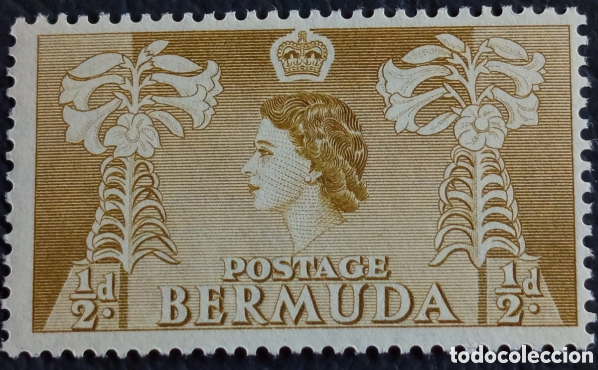 Sellos: Bermuda 1953 QEII &frac12;d Medio Penique Dorado Lirios Pascua Scott 143 MNH★★