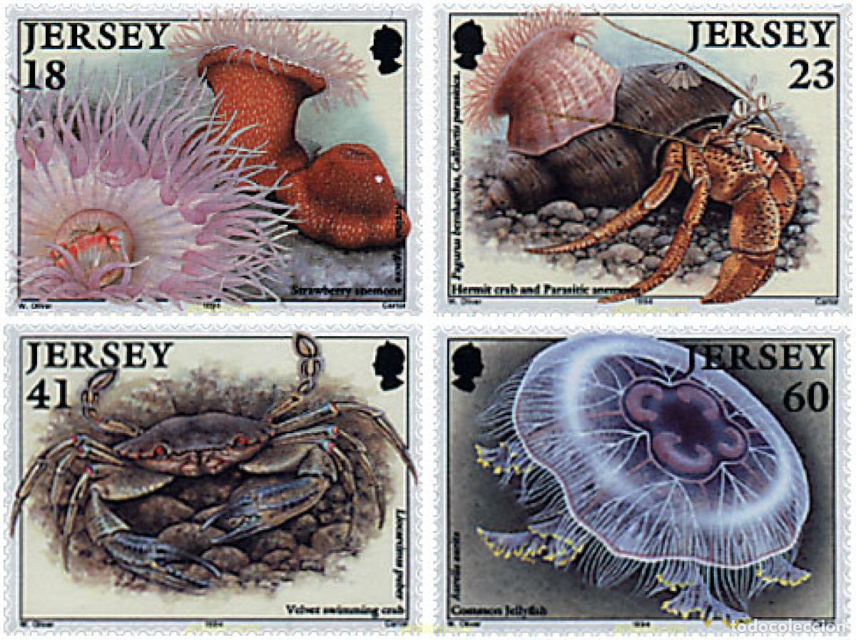 Sellos: 66637 MNH JERSEY 1994 FAUNA MARINA