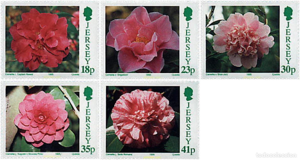 Sellos: 91933 MNH JERSEY 1995 CAMELIAS