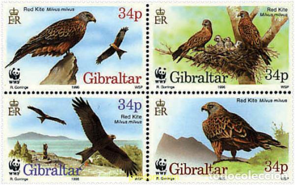 Sellos: 5249 MNH GIBRALTAR 1996 WWF. EL MILANO REAL