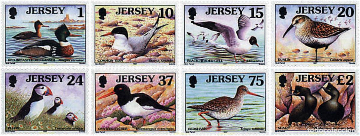 Sellos: 66655 MNH JERSEY 1997 AVES MARINAS Y ZANCUDAS