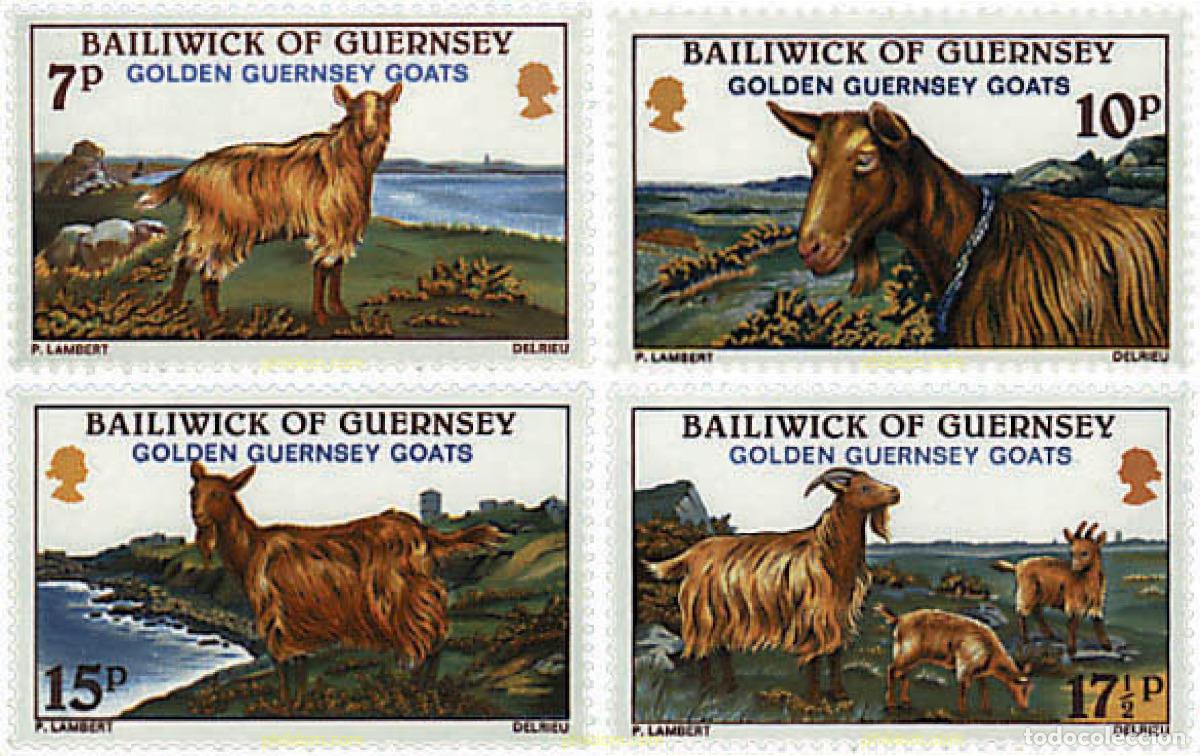 Sellos: 66172 MNH GUERNSEY 1980 CABRA DORADA