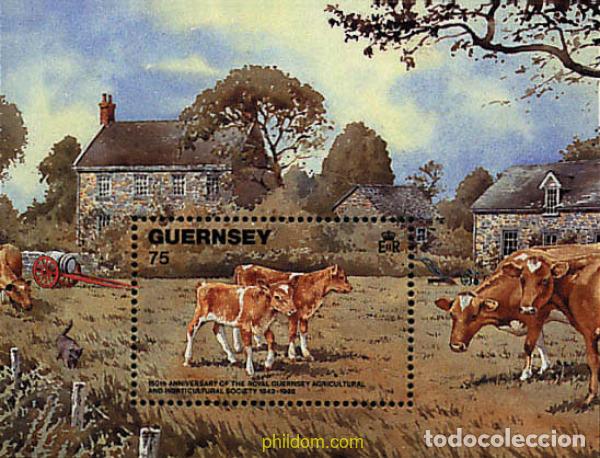 Sellos: 66236 MNH GUERNSEY 1992 GANADO VACUNO