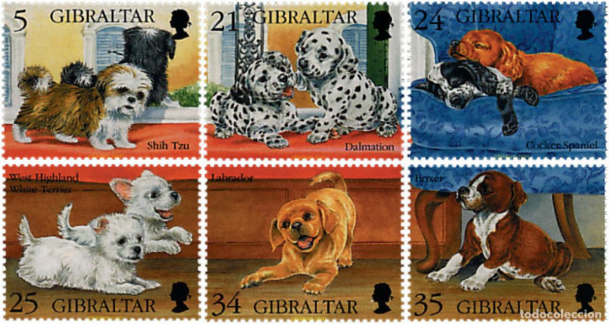 Sellos: 84299 MNH GIBRALTAR 1996 CACHORROS