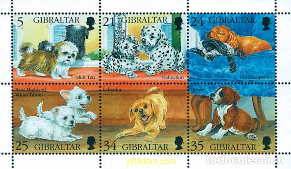 Sellos: 159026 MNH GIBRALTAR 1996 CACHORROS