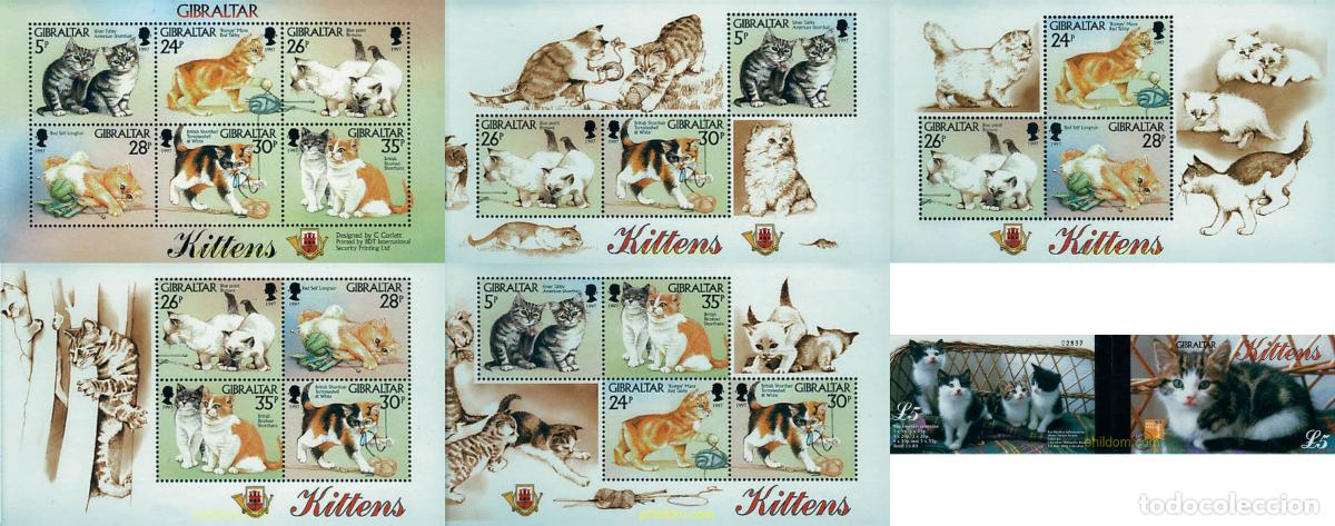 Sellos: 2665 MNH GIBRALTAR 1997 GATOS