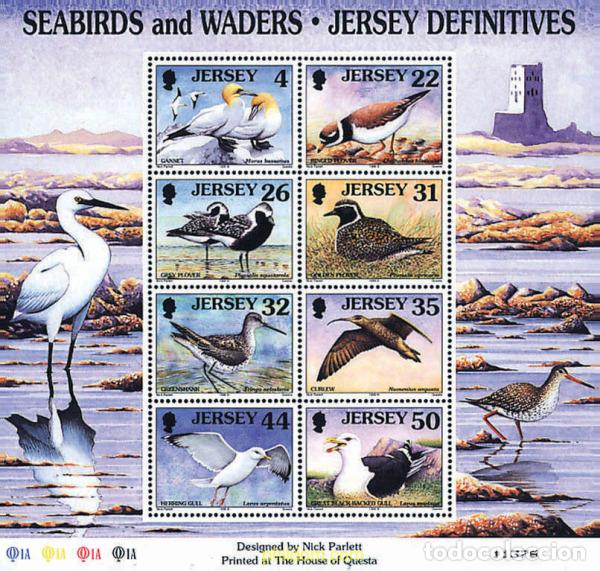 Sellos: 33902 MNH JERSEY 1998 AVES MARINAS