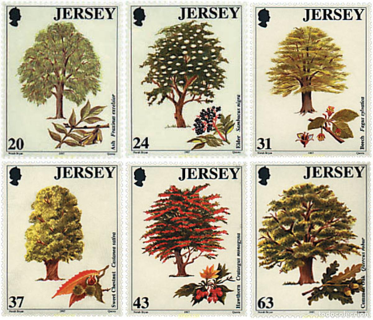 Sellos: 41619 MNH JERSEY 1997 60 ANIVERSARIO DE LA ASOCIACION MEN OF THE TREES. ARBOLES DIVERSOS