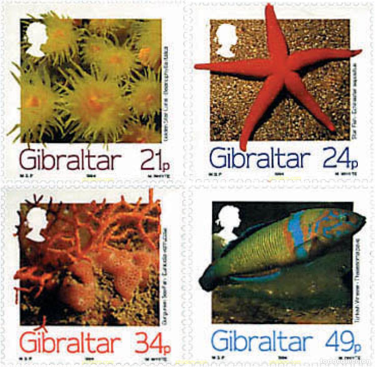 Sellos: 84284 MNH GIBRALTAR 1994 FAUNA MARINA