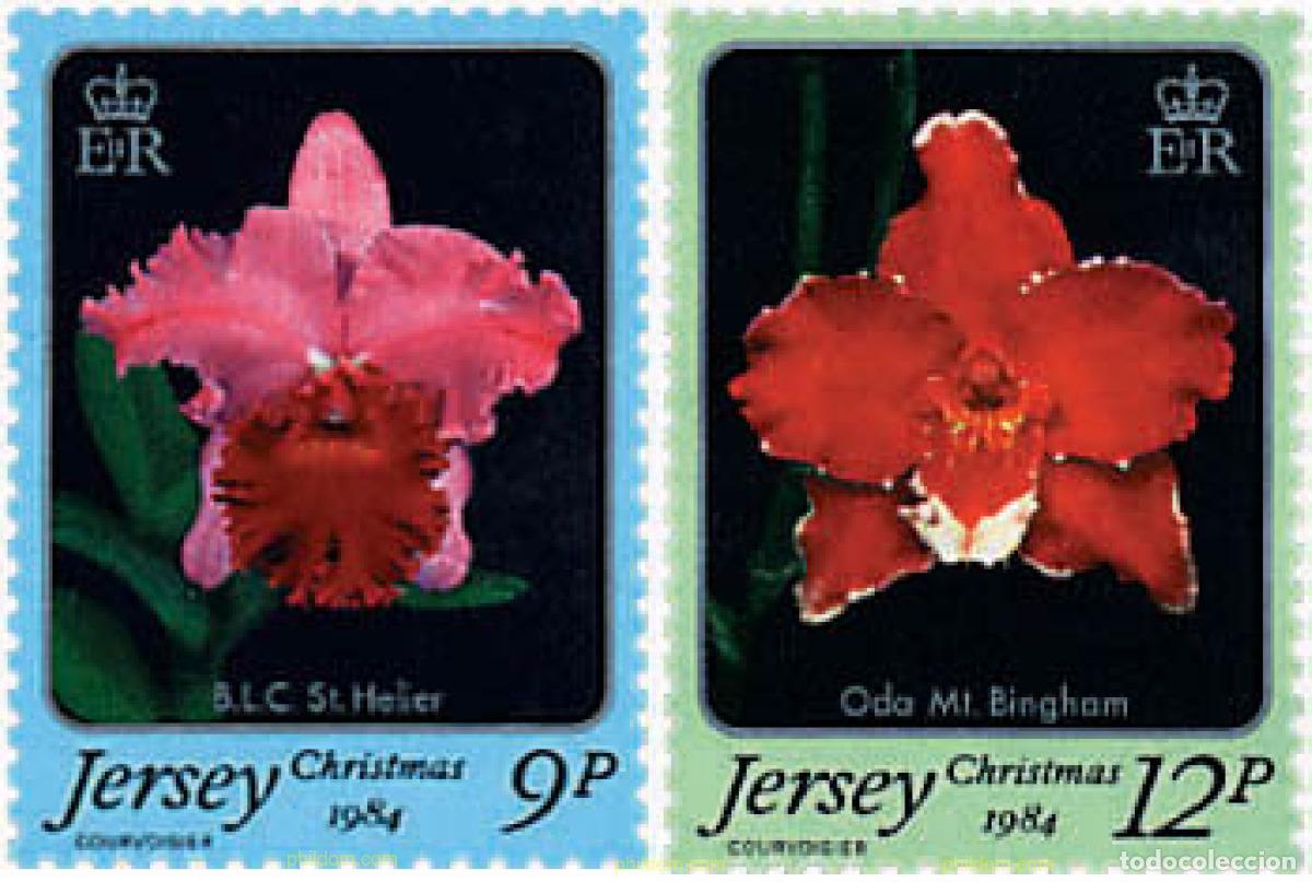 Sellos: 91955 MNH JERSEY 1984 NAVIDAD. ORQUIDEAS