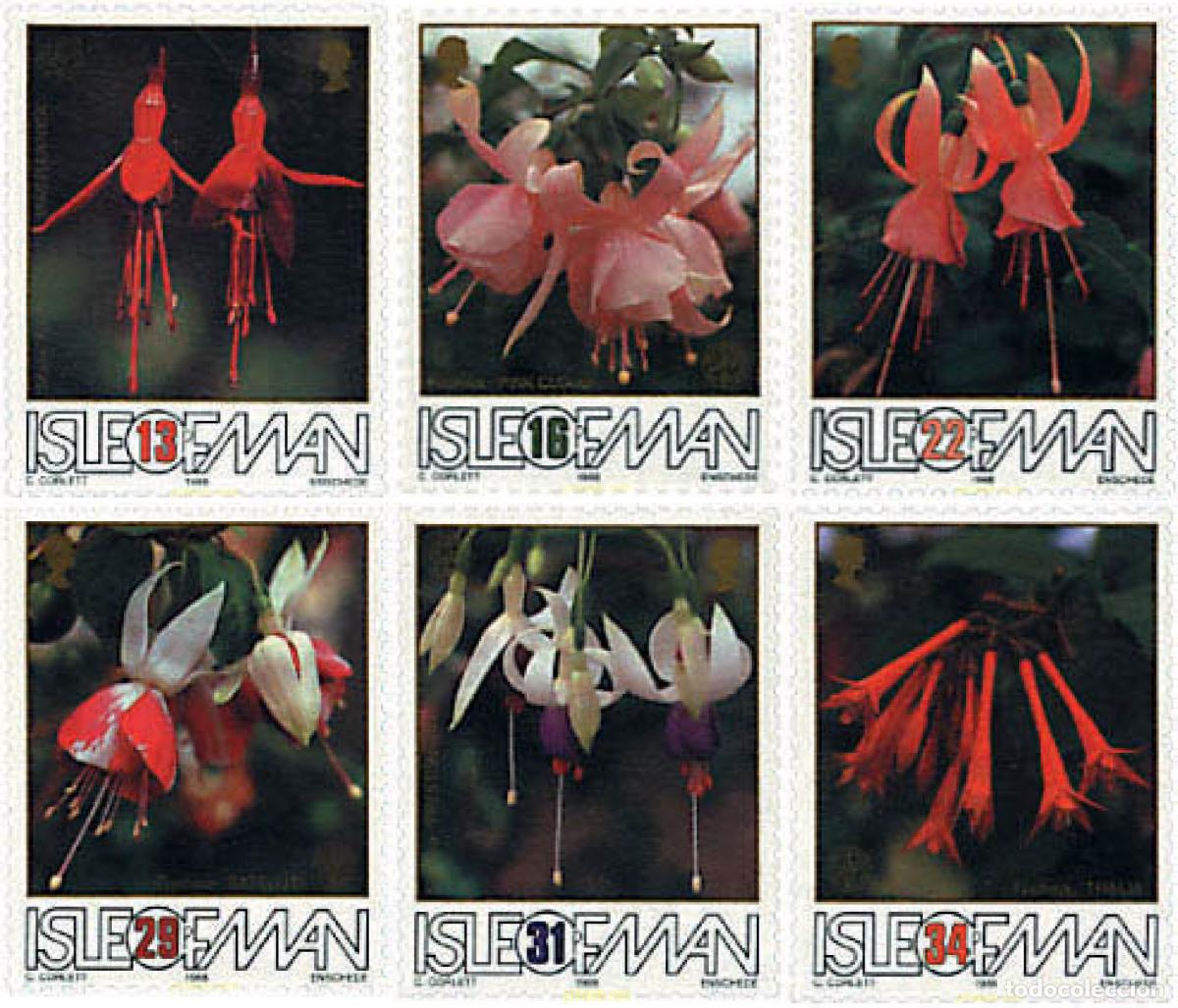 Sellos: 95411 MNH MAN 1988 50 ANIVERSARIO DE LA SOCIEDAD DE LOS AFICIONADOS A LAS FUCSIAS