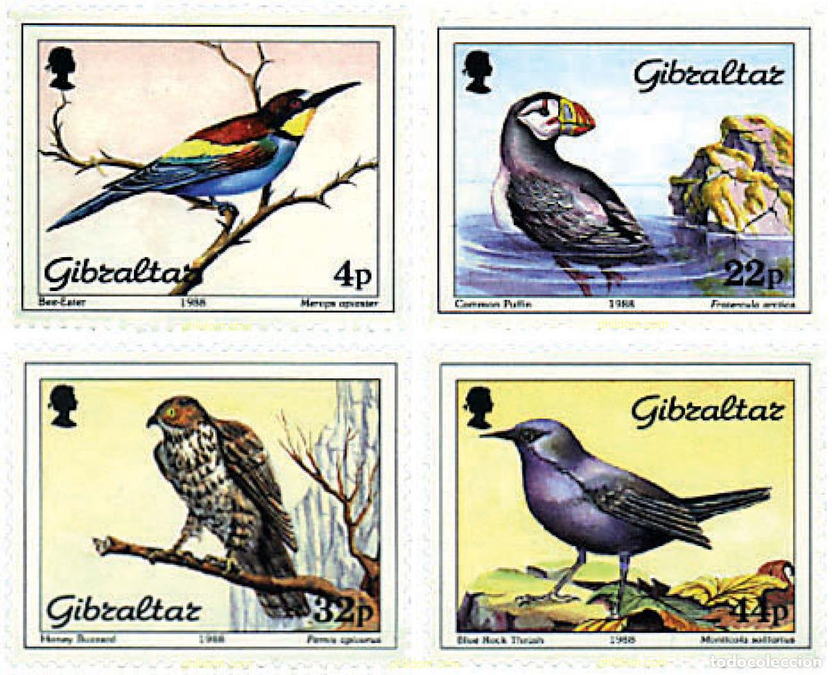 Sellos: 83438 MNH GIBRALTAR 1988 AVES